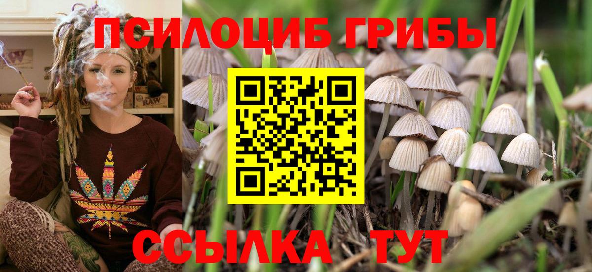 Галлюциногенные грибы GOLDEN TEACHER  Псилоцибиновые грибы прущие грибы  что такое   Вход с VPN  Бузулук 