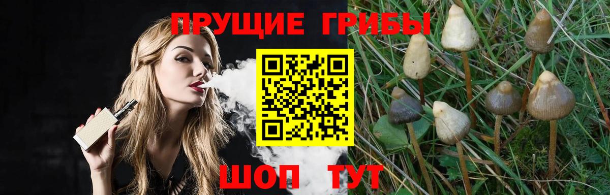 Псилоцибиновые грибы Magic Shrooms Бузулук